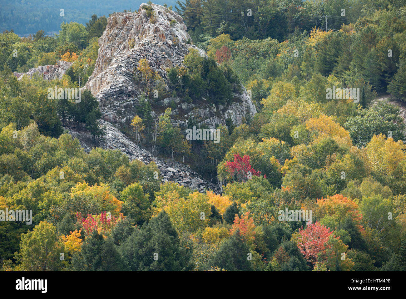 Herbstfärbung Farbsäume Charlton See, Nr. Felchen fällt, Bezirk von Sudbury, Ontario, Kanada Stockfoto