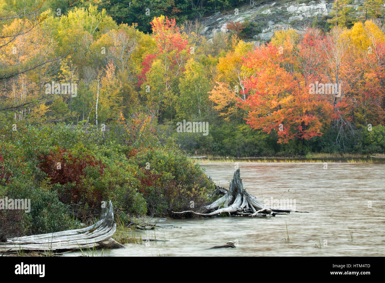 Herbstfärbung Farbsäume Frood See, Nr. Felchen fällt, Bezirk von Sudbury, Ontario, Kanada Stockfoto