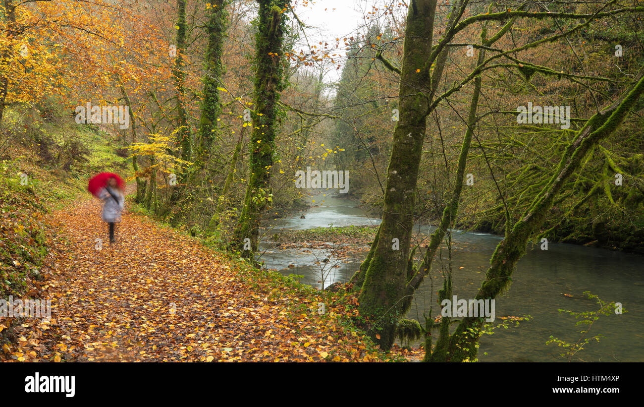 Eine Frau mit Regenschirm Wandern im Herbst in die Gorge du Lison, Nans-Sous-Sainte-Anne, Franche-Comté, Frankreich Stockfoto