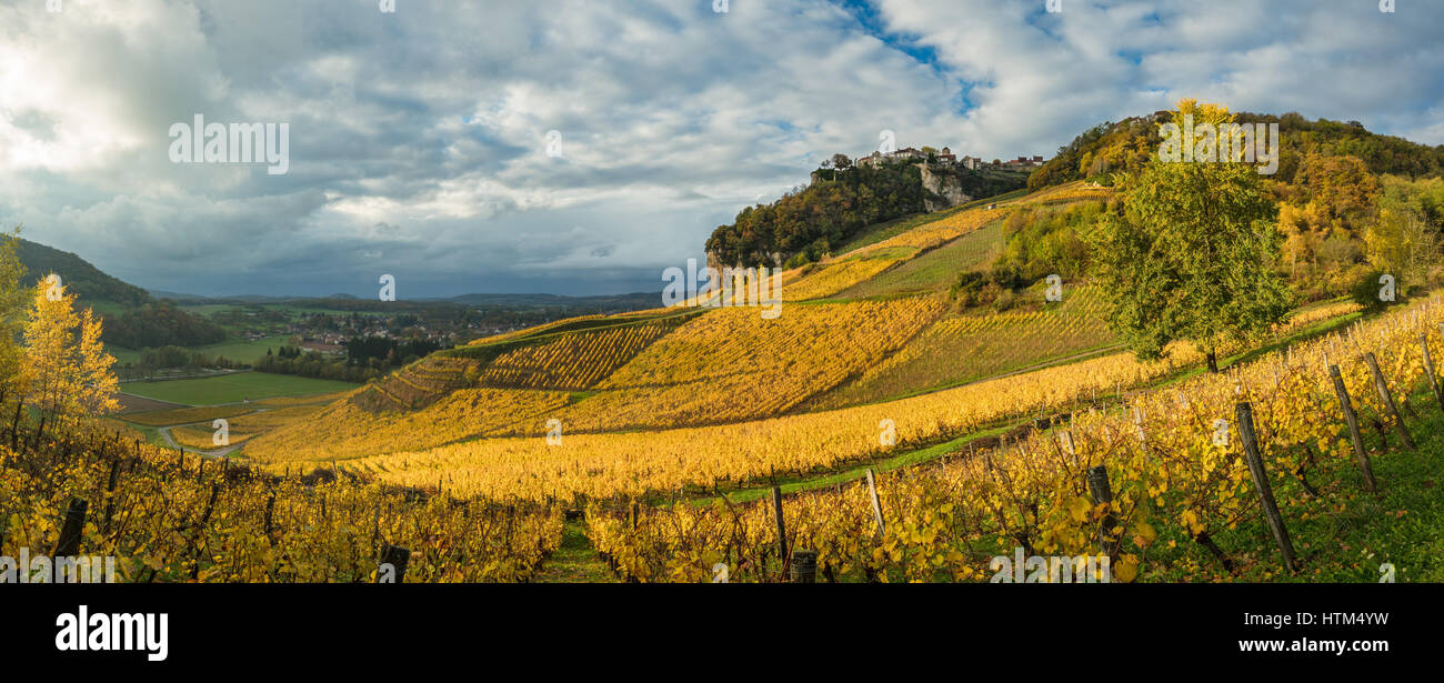 Herbstfarben in den Weinbergen rund um Château-Chalon, Jura, Franche-Comté, Frankreich Stockfoto
