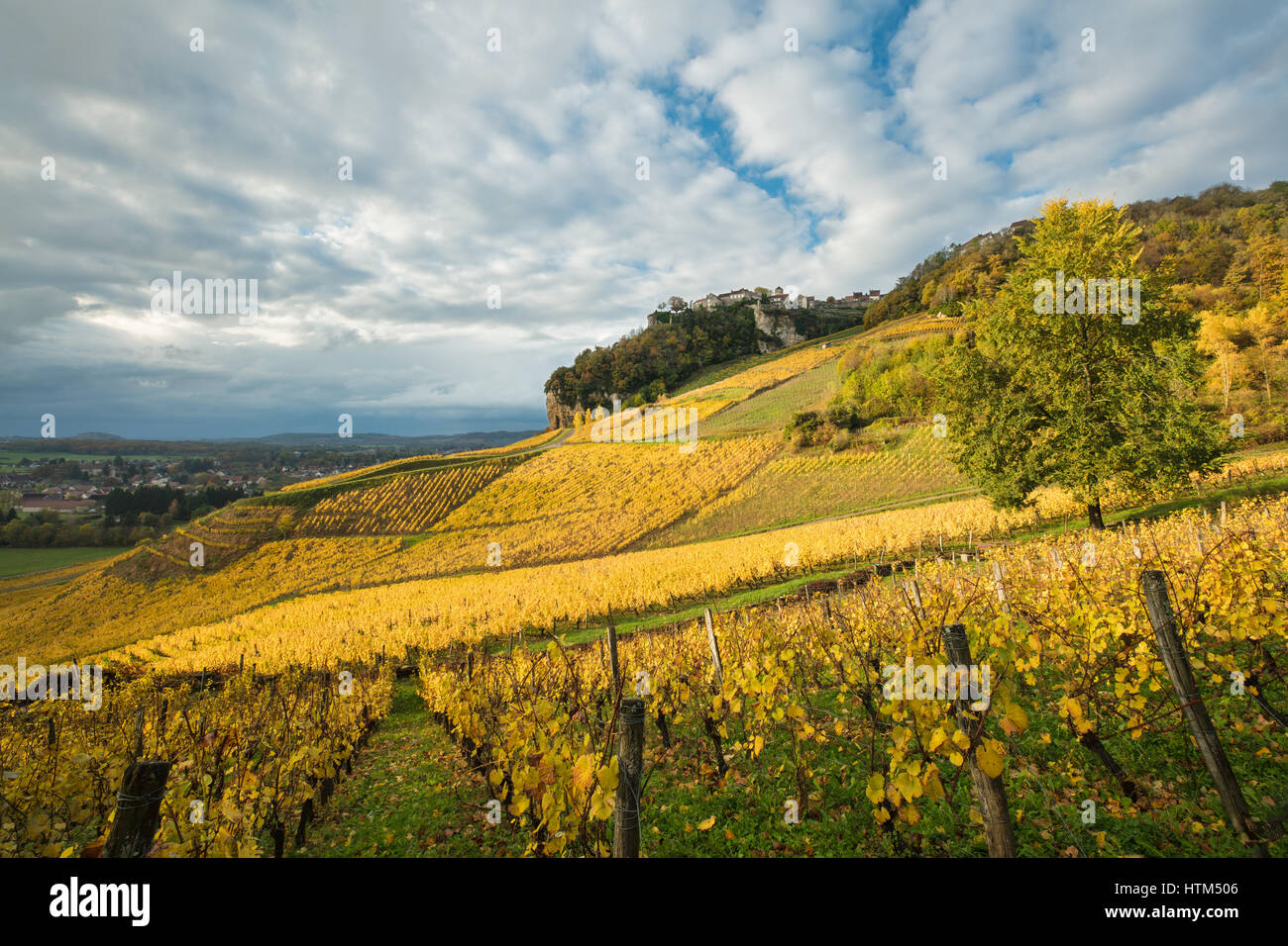 Herbstfarben in den Weinbergen rund um Château-Chalon, Jura, Franche-Comté, Frankreich Stockfoto