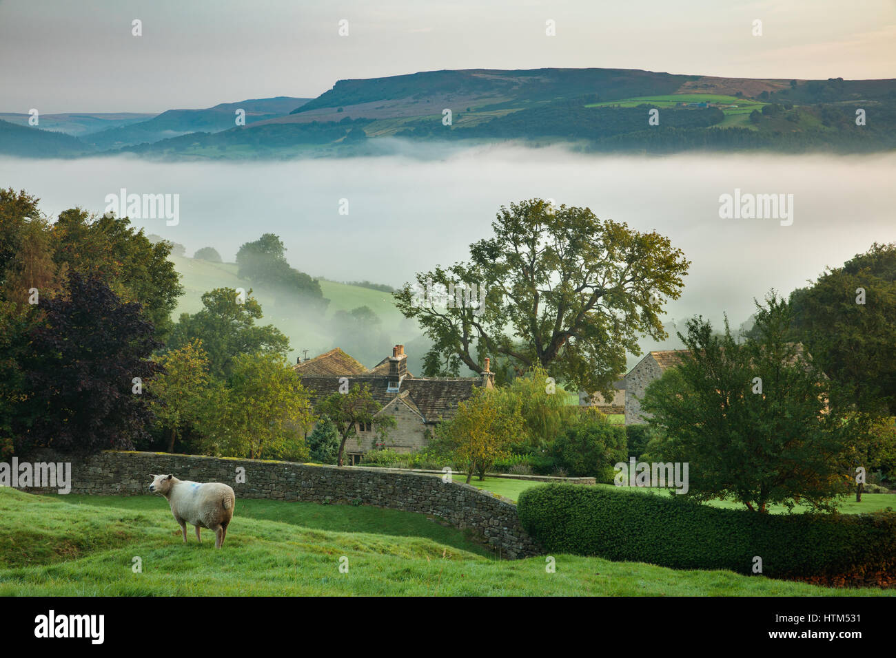 Schafe weiden in der Nähe von Offerton Hall über dem Nebel in das Derwent Tal, Derbyshire Peaks District, England, UK Stockfoto