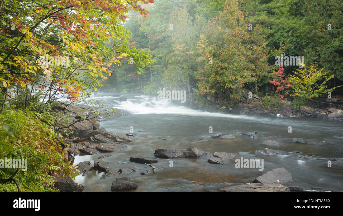 Herbstfarben entlang des Habichtsbitterkraut Flusses, Habichtsbitterkraut Rapids Park, Ontario, Kanada Stockfoto