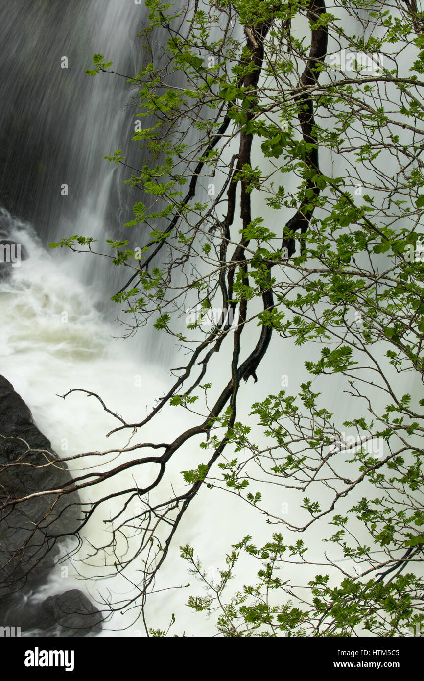 Sgwd Clun-Gywn Wasserfall, Brecon-Beacons-Nationalpark, Wales, UK Stockfoto