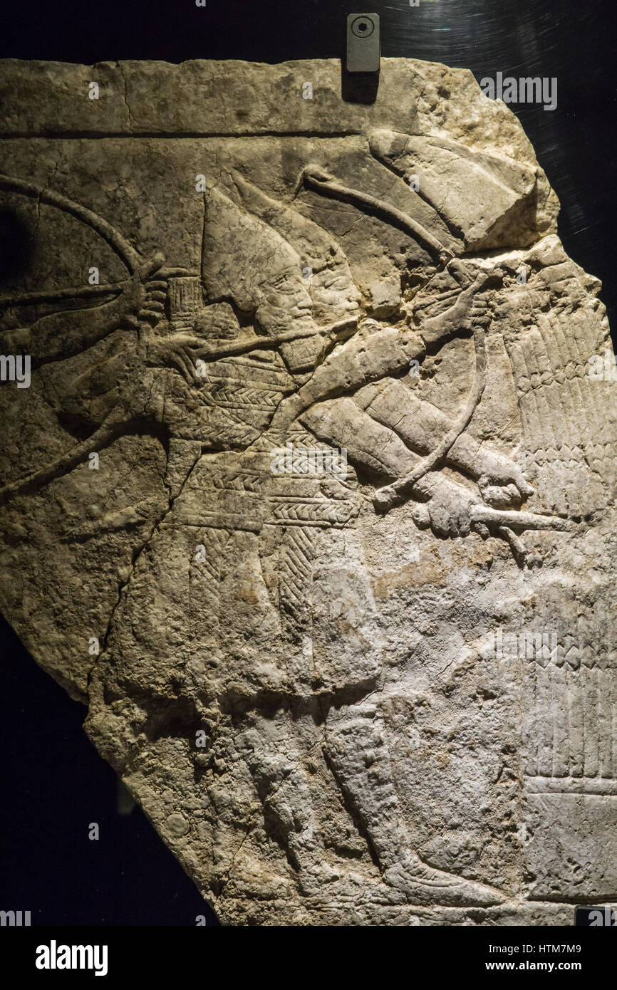 Assyrische Reliefs im Vatikan Museum, assyriam Bogenschützen in Batle, Fron der Palast von Sanherib (704-681 v. Chr.) in Ninive. Vatikan, Rom, Italien. Stockfoto