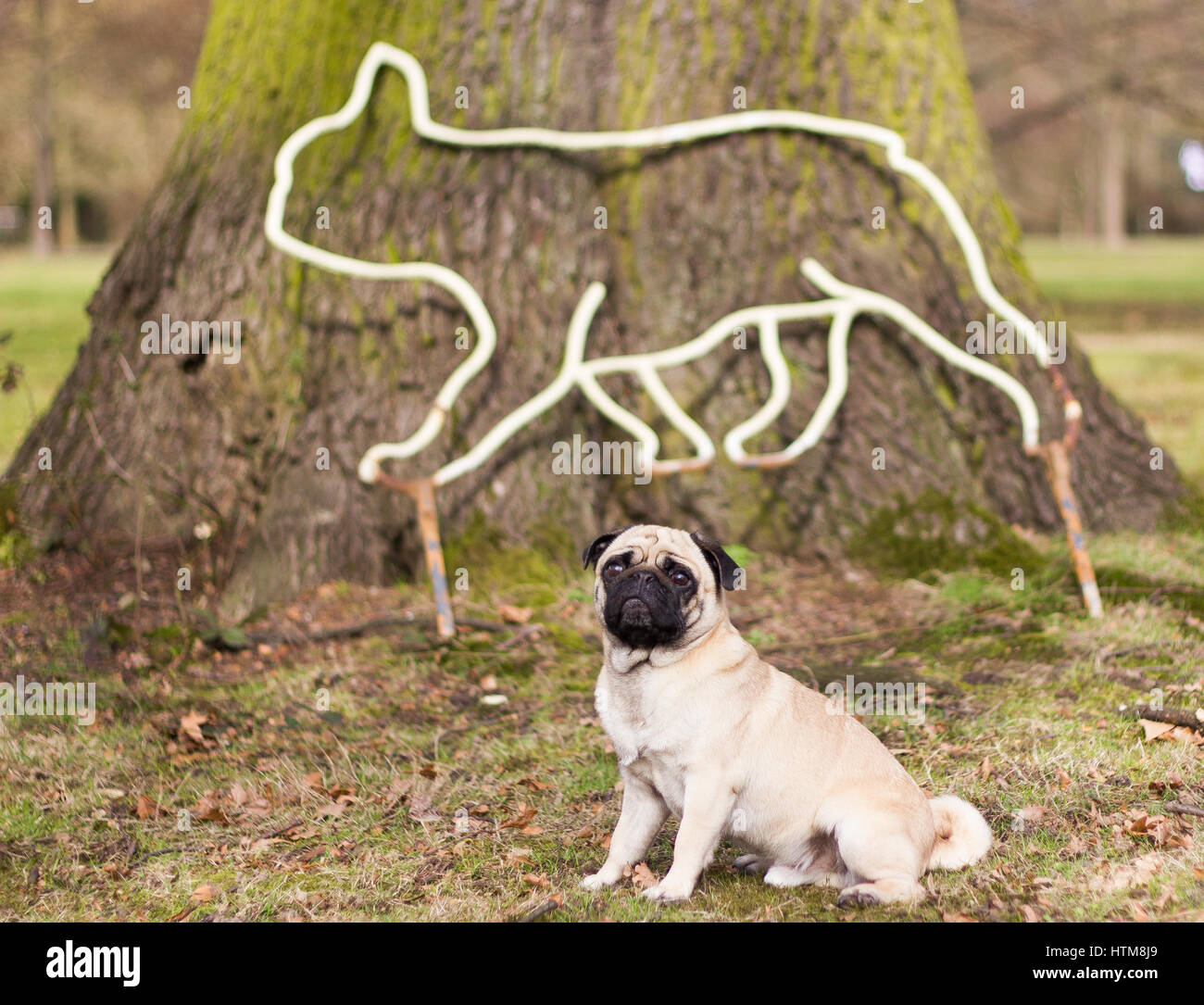 "Mans besten Freund" trifft eine Pose neben einer Metallskulptur inmitten der Natur Stockfoto