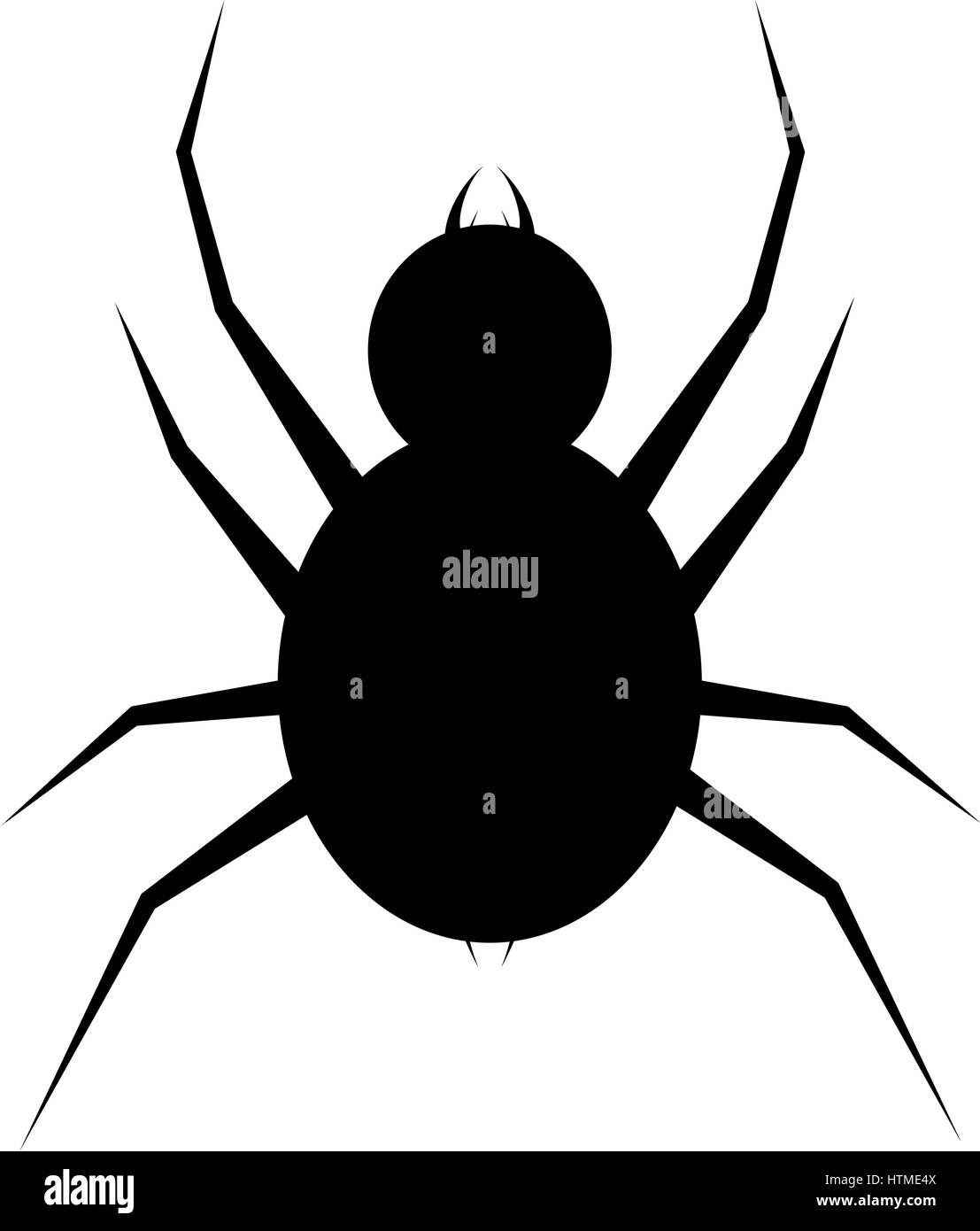Spinne-Logo-Vorlage. Spinne-Symbol. Flache Spinne Stock-Vektorgrafik - Alamy