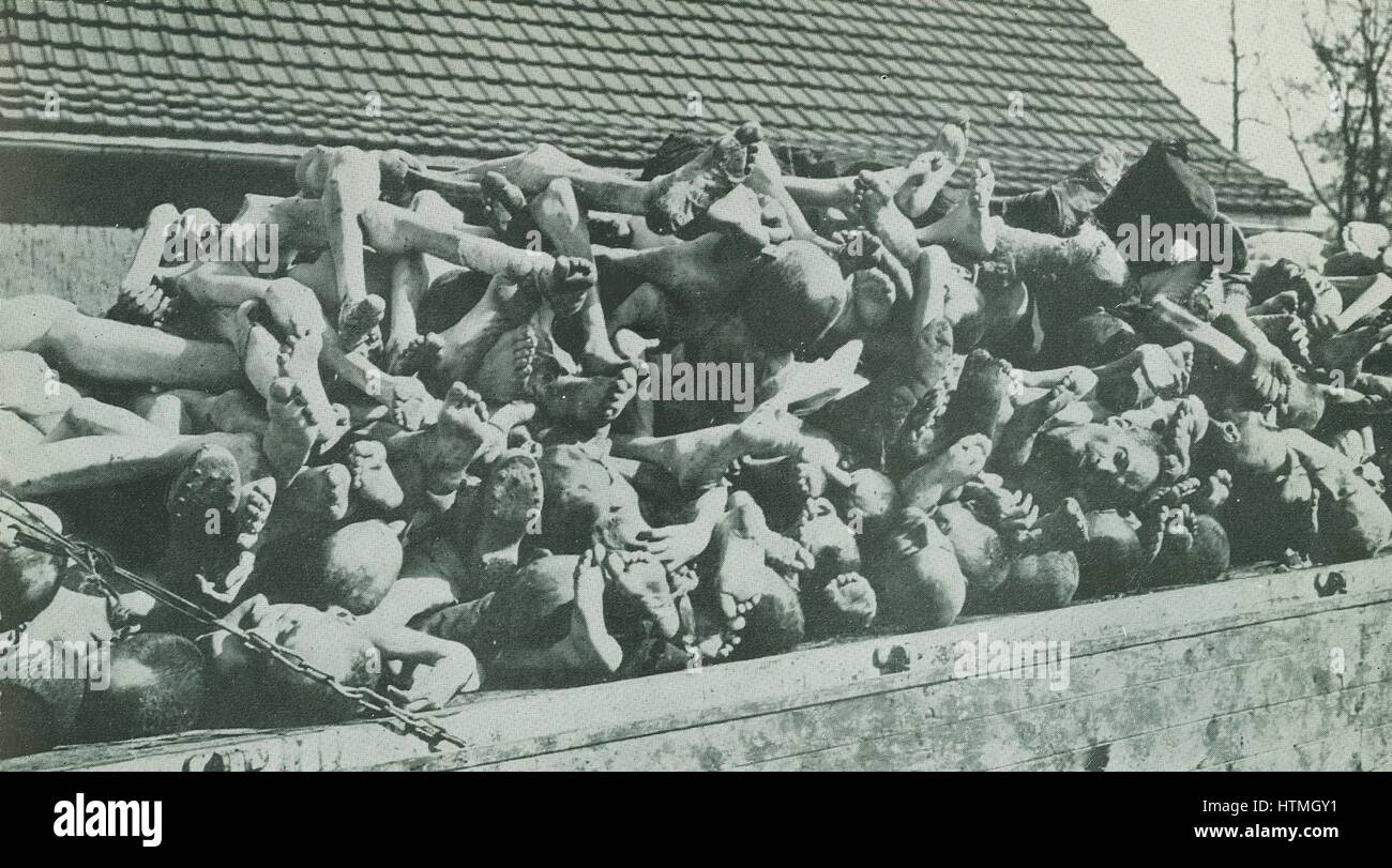 Buchenwald, Konzentrationslager, 1937 gegründet und im April 1945 befreit. Gefangene wurden in Betrieben der Umgebung Munition Zwangsarbeit verwendet. Eine Wagenladung von den Leichen der Häftlinge. Stockfoto