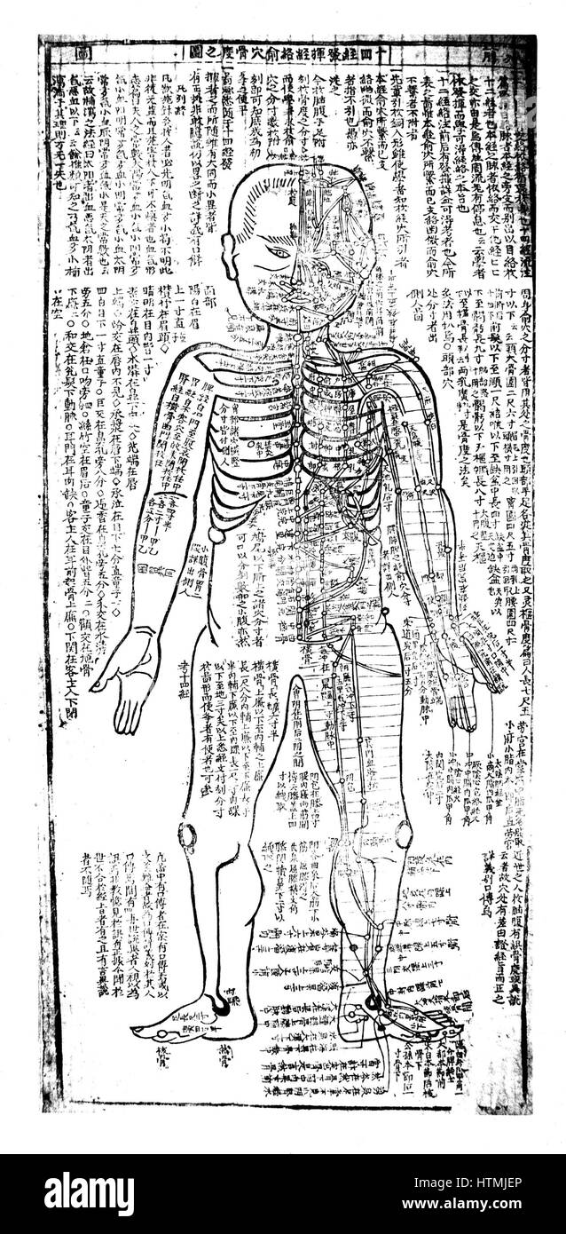 Akupunktur-Diagramm für die Vorderseite des Körpers. 19. Jahrhundert Japanisch. Holz-block Stockfoto