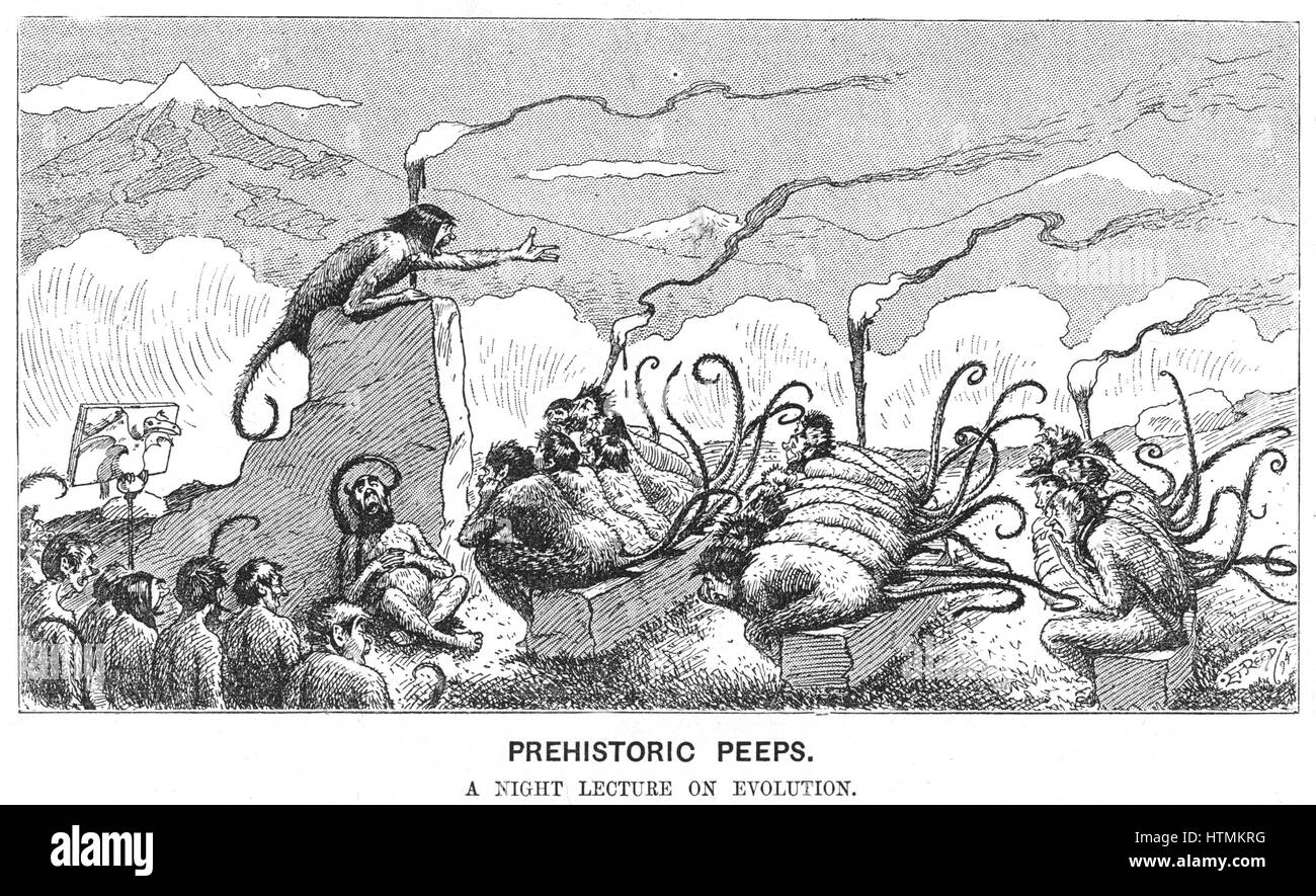 Prähistorische guckt: Affen, die Teilnahme an einem Abendvortrag. Cartoon über die Evolution von "Punch", London, 23. Juni 1894 Stockfoto