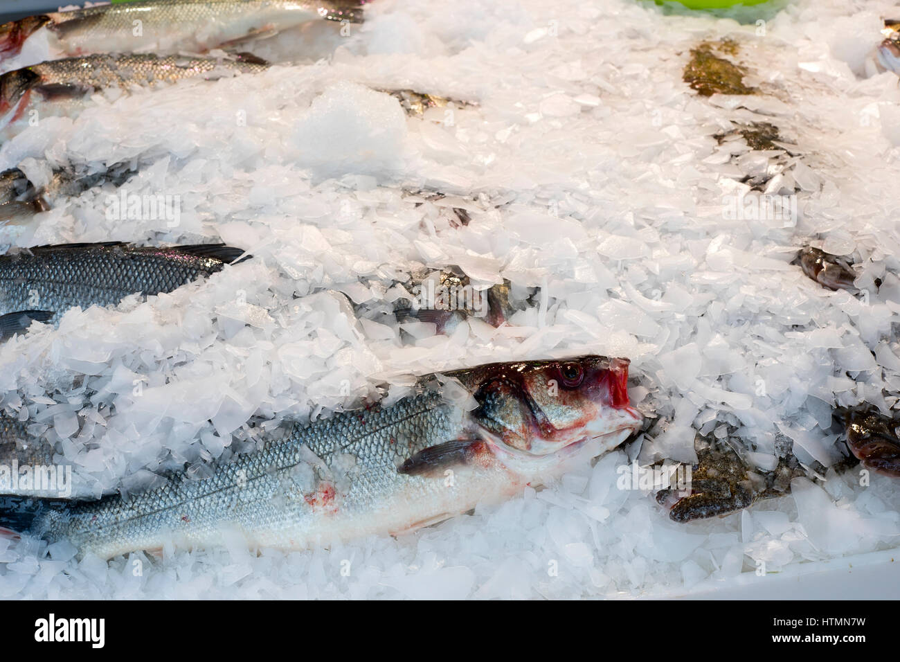 großes Angebot an Fisch und Meeresfrüchten in ein Fischgeschäft in Le Touquet-Plage, Frankreich Stockfoto