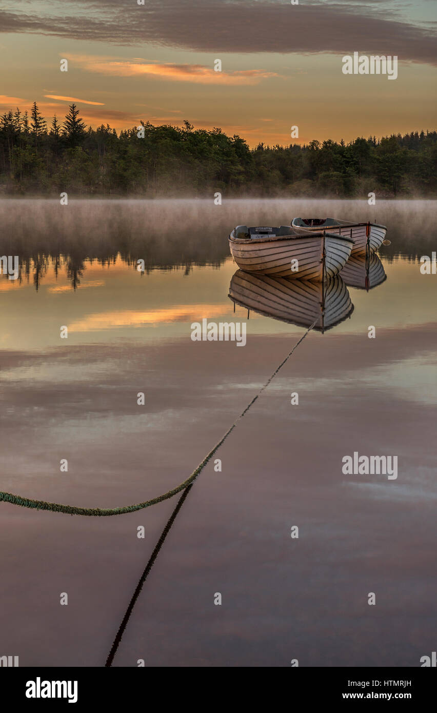 Angebunden, Loch Rusky, Aberfoyle, Schottland Stockfoto