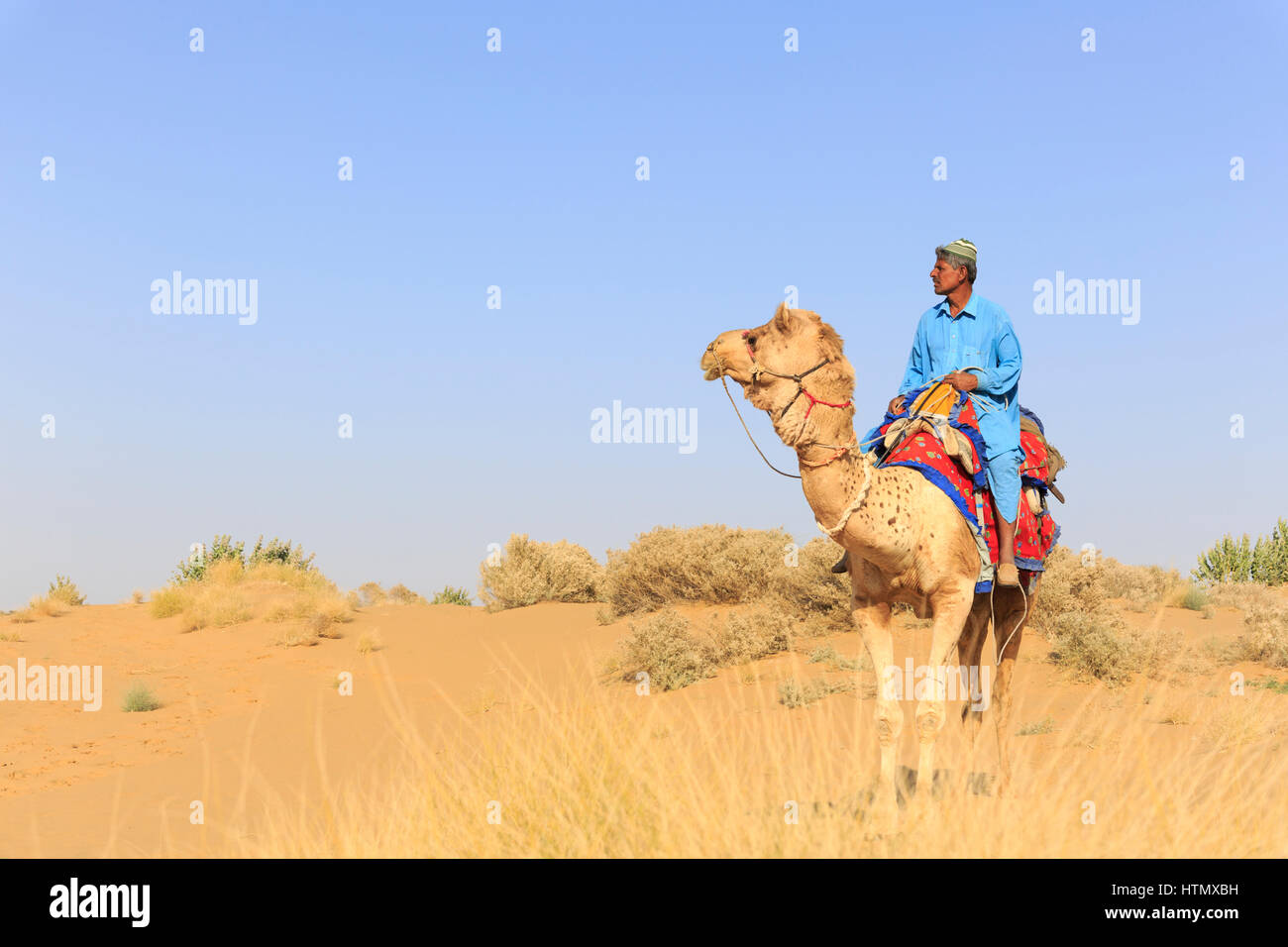 Kamel-Safari, Thar-Wüste, Rajasthan, Indien Stockfoto