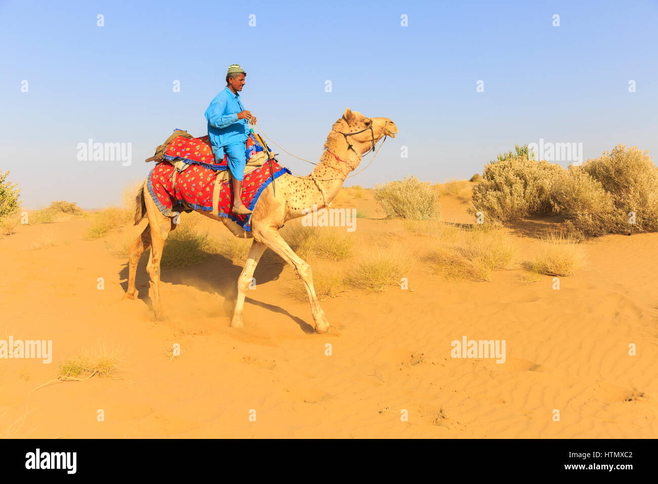 Kamel-Safari, Thar-Wüste, Rajasthan, Indien Stockfoto