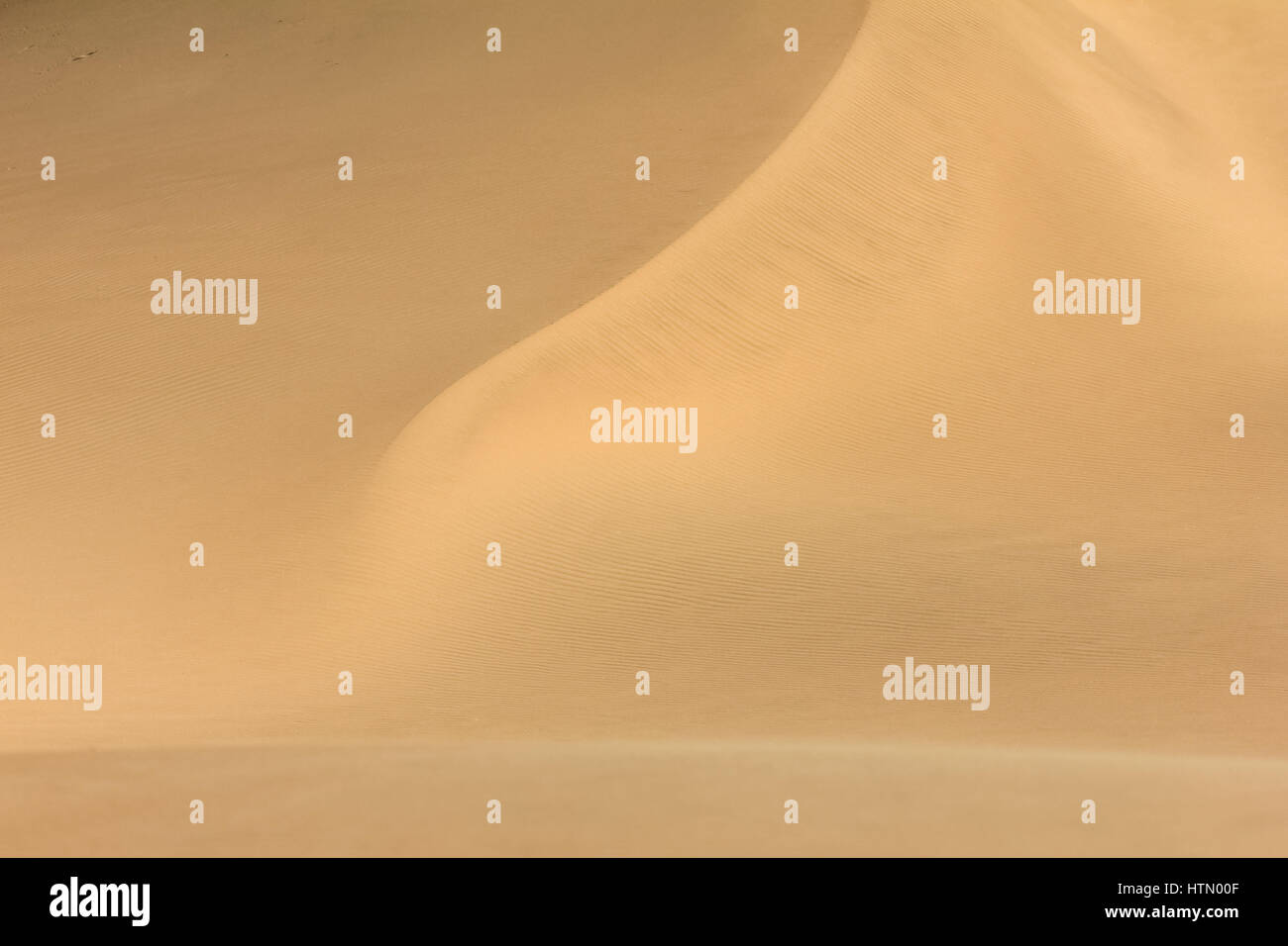 Shifting Sand dune Kontraste. Wüste oder Strand sand strukturierten Hintergrund. Stockfoto