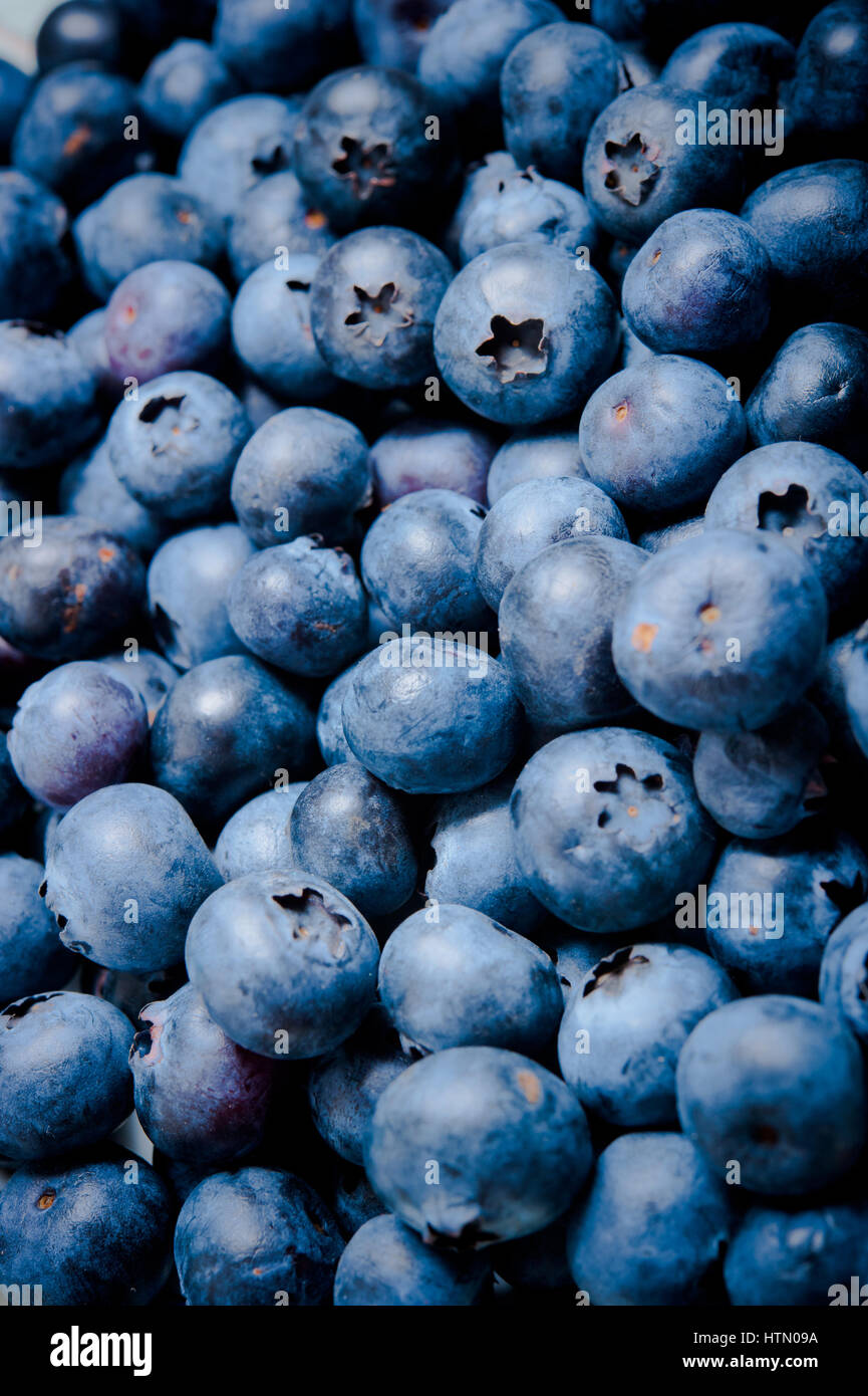 Hintergrund der Blaubeeren Stockfoto