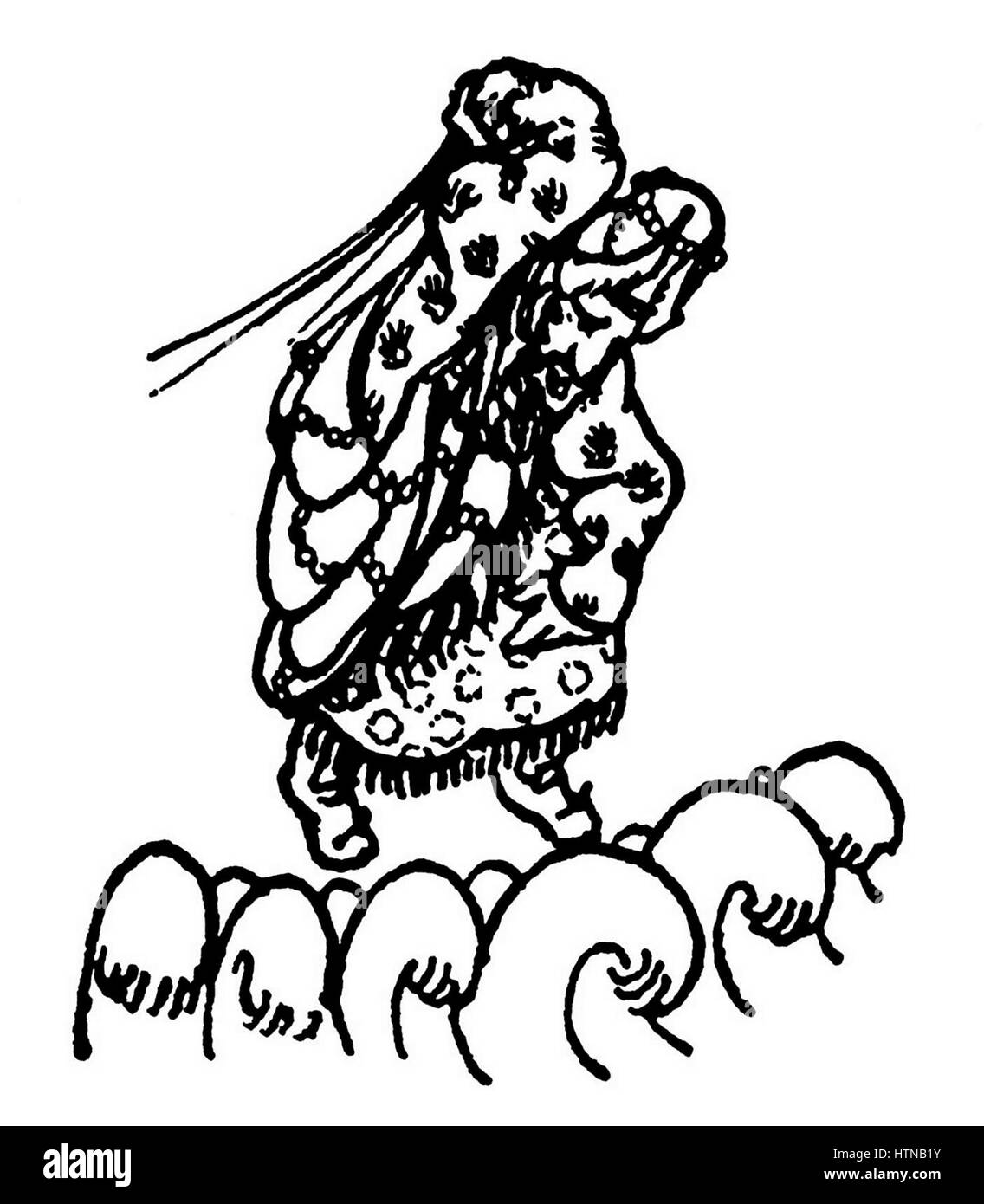 Xerxes durch eine Jakowlew 1911 Stockfoto