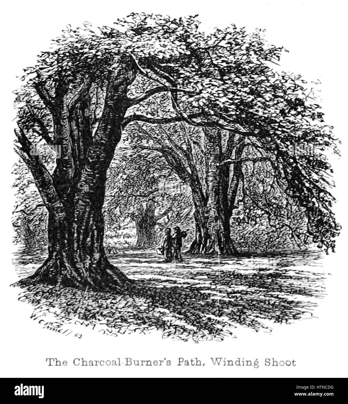 Der New Forest, seiner Geschichte und seiner Landschaft - Seite 019 Stockfoto