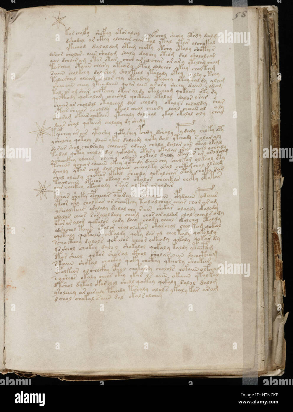 Das Voynich-Manuskript ist ein rätselhaftes und unentziffertes Buch, das für seinen geheimnisvollen Text und Illustrationen von Pflanzen, astronomischen Symbolen und menschlichen Figuren bekannt ist. Das Manuskript, von dem angenommen wird, dass es auf das frühe 15. Jahrhundert zurückgeht, rätselt Gelehrte aufgrund seiner unbekannten Sprache und seines kryptischen Inhalts. Stockfoto