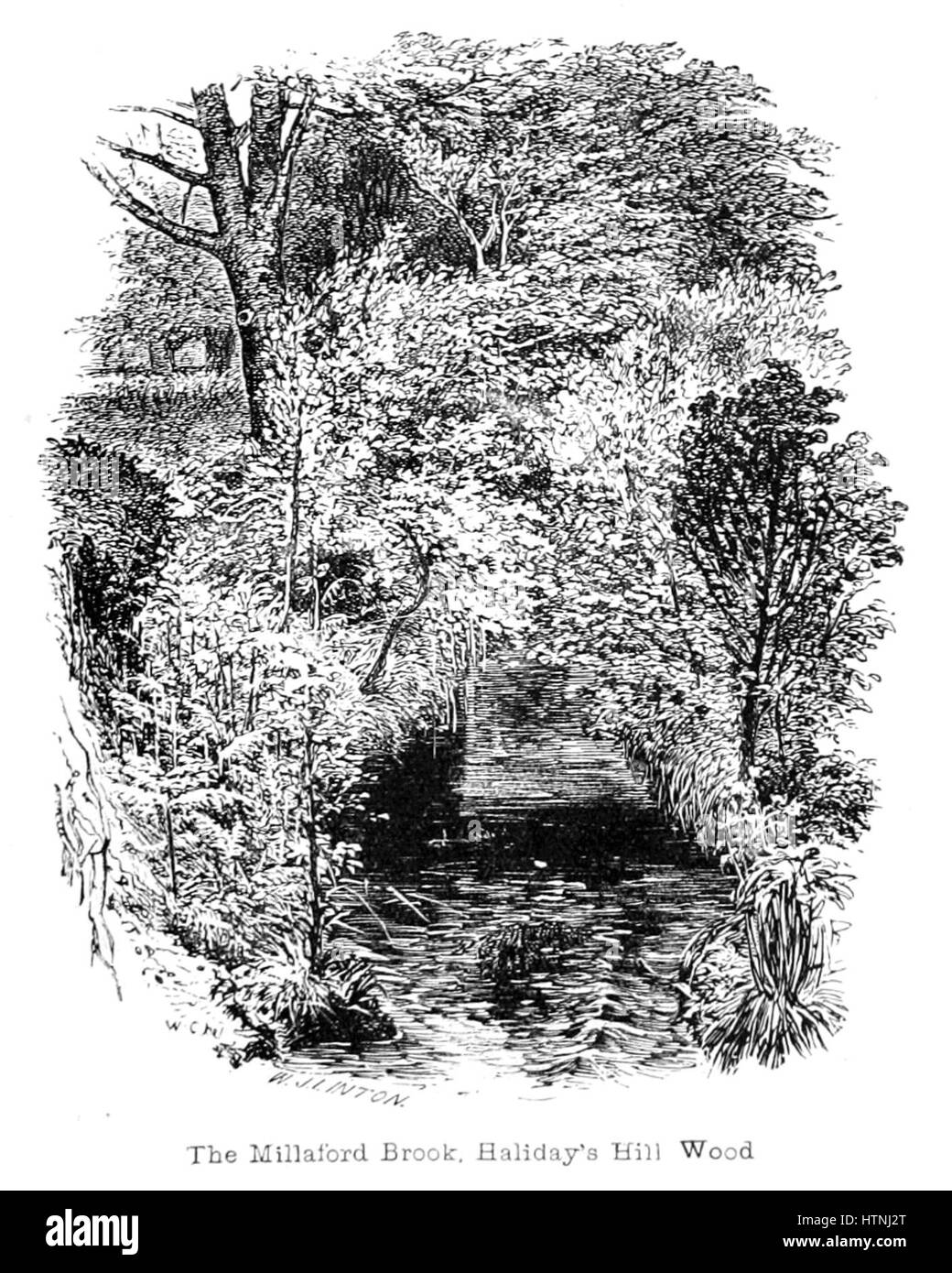 „The New Forest: Its History and its Scenario“ (der New Forest: Seine Geschichte und seine Landschaft) bietet eine detaillierte Darstellung der Landschaft und historischen Bedeutung des New Forest in Südengland. Das Buch hebt seine natürliche Schönheit, seine reiche Geschichte und seine ökologische Bedeutung hervor. Stockfoto