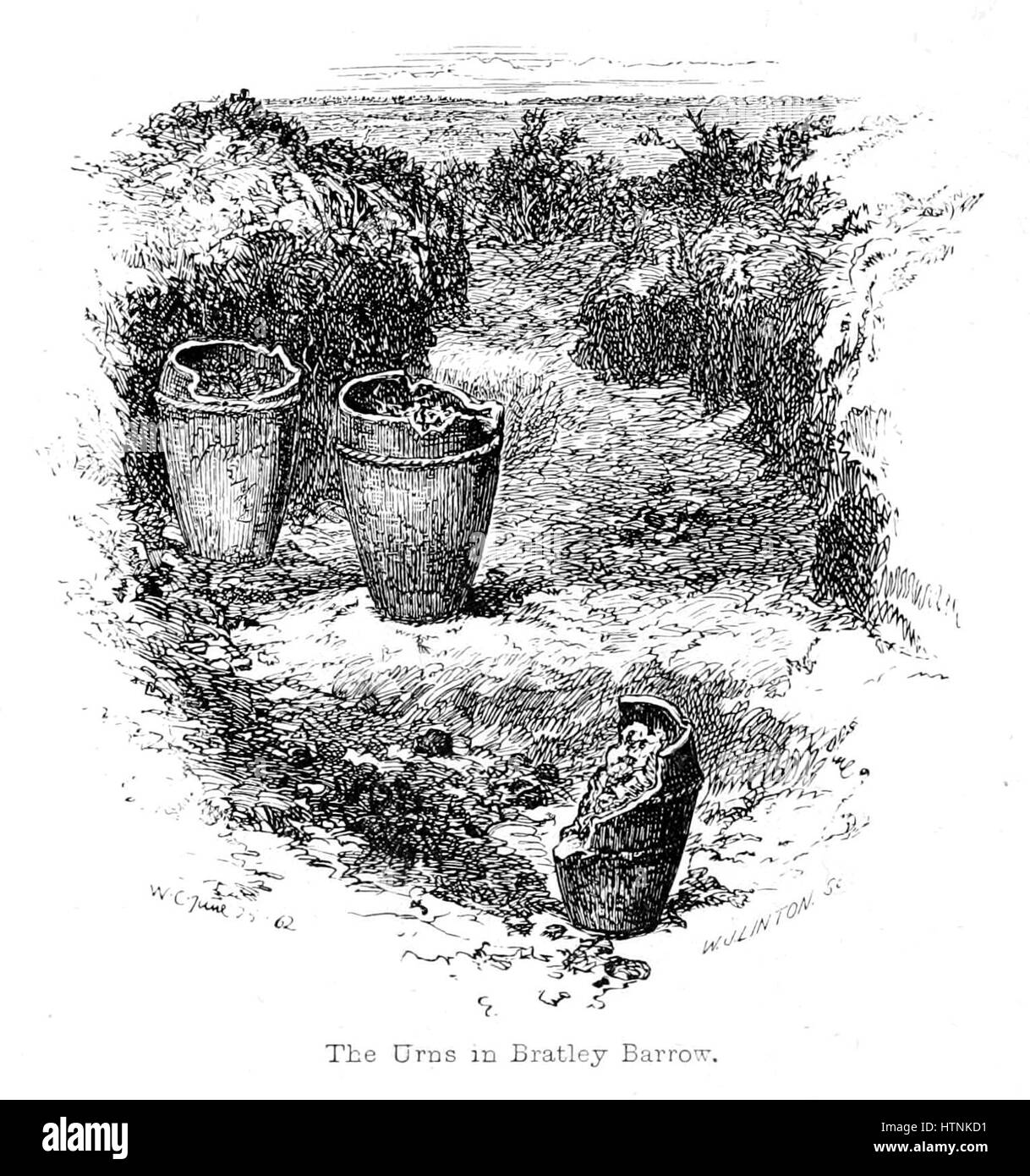 „The New Forest: Its History and its Scenario“ (der New Forest: Seine Geschichte und seine Landschaft) erkundet die natürliche Schönheit und historische Bedeutung des New Forest in England. Die Arbeit beleuchtet die Landschaft, die reiche Tierwelt und die Rolle, die es in der britischen Geschichte als königliches Jagdrevier spielte. Stockfoto
