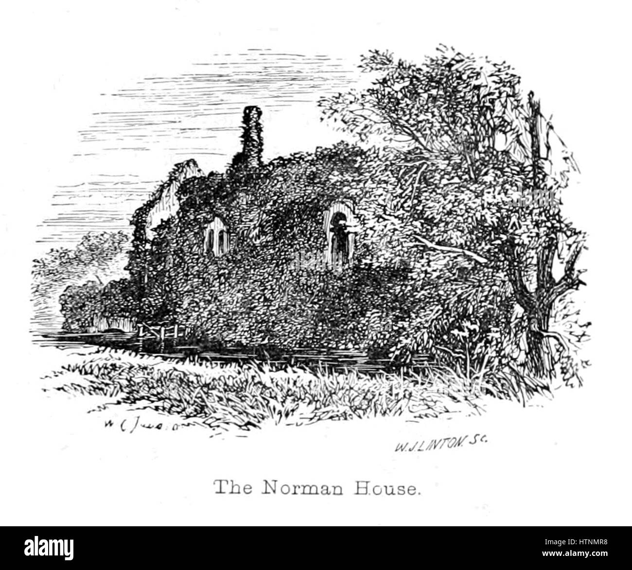 Der New Forest, seiner Geschichte und seiner Landschaft - Seite 133 Stockfoto