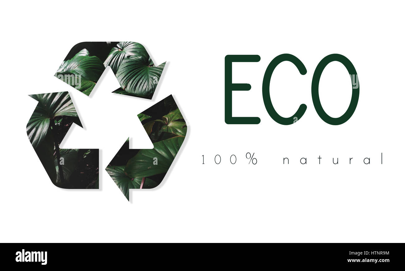 Schonung der Umwelt Natur Ökologie zu recyceln Stockfoto