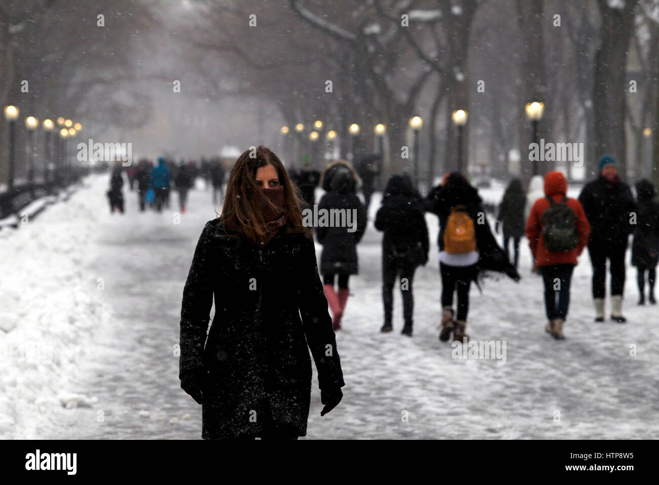 New York, Vereinigte Staaten von Amerika. 14. März 2017. Die Menschen gehen durch den New Yorker Central Park während eines Schneesturms am 14. März 2017, die voraussichtlich mehr als zwei Füße von Schnee in die Stadt bringen aber nur 7 Zoll gebracht. Die Schulen geschlossen und die Stadt war relativ leise wie viele blieb zu Hause, aber einige wagten sich selbst im Park zu genießen. Bildnachweis: Adam Stoltman/Alamy Live-Nachrichten Stockfoto
