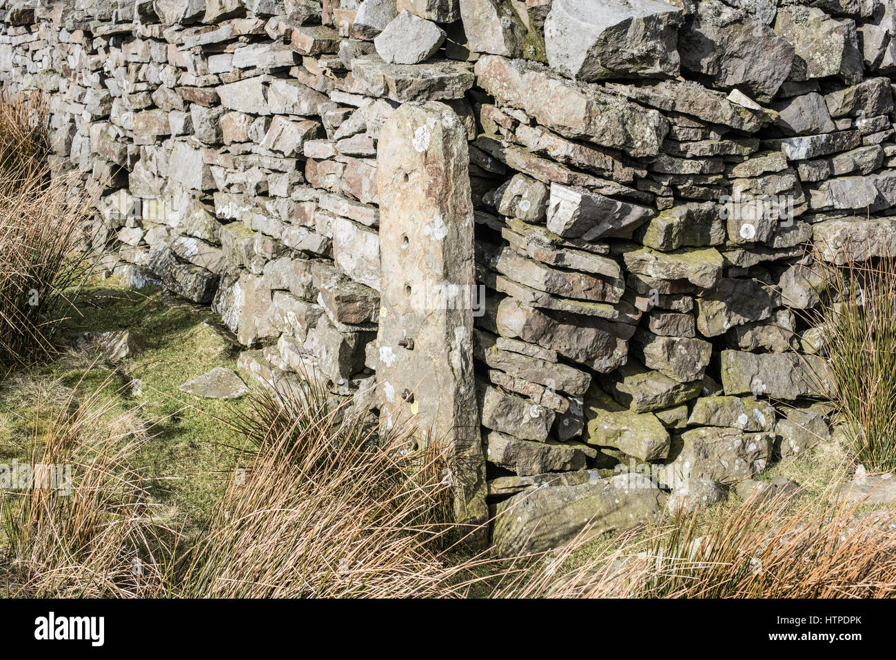 Stone Pfosten, die scheinbar wie Bohnenstroh belasten möglicherweise für Fechten, Coverdale, Yorkshire Dales Draht verwendet wurden. Auch zeigt Trockenmauer Stockfoto
