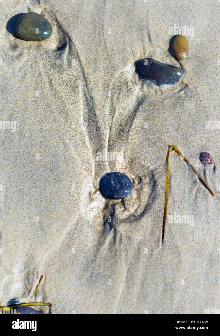 Naturgebilde am Strand geformt wie Kopf und die Ohren des Kaninchens. Stockfoto