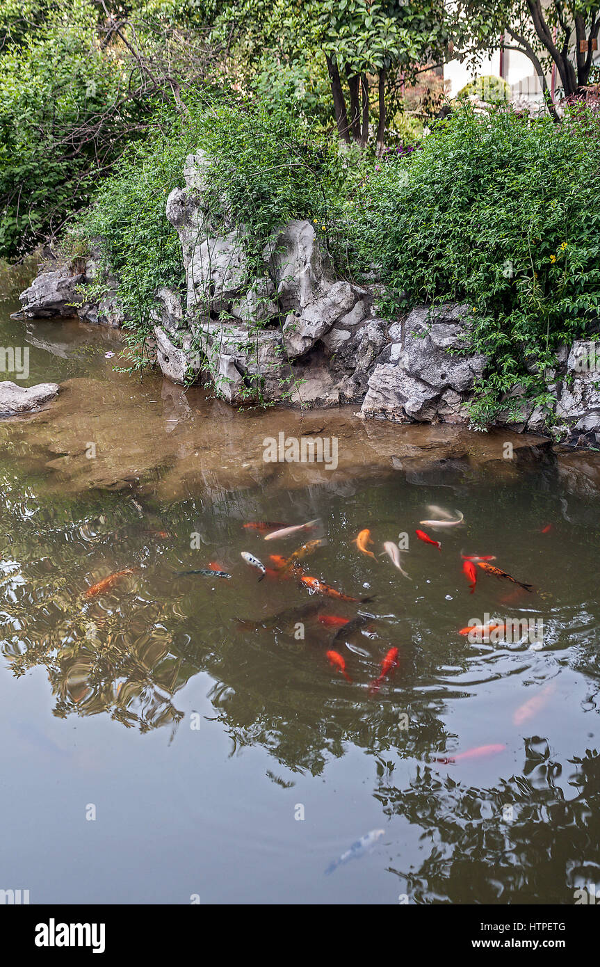 Die Humble Administrator Garten in Suzhou - ein Gedicht von Blumen, Steinen und Wasser. Stockfoto