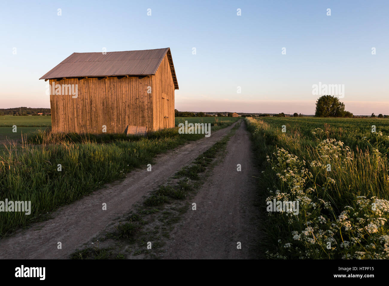 Finnische Landschaft Stockfoto