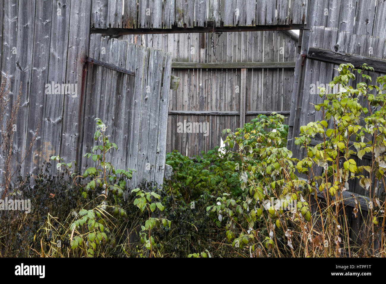Finnische Landschaft Stockfoto