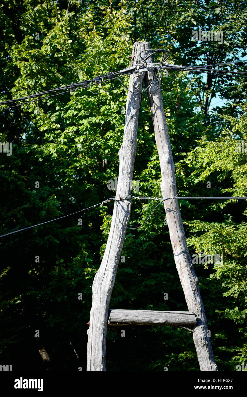 Eine alte hölzerne Telegrafenmast aus ein paar Bäume tragen macht & Telefon Kabel und umgeben von Ästen Stockfoto