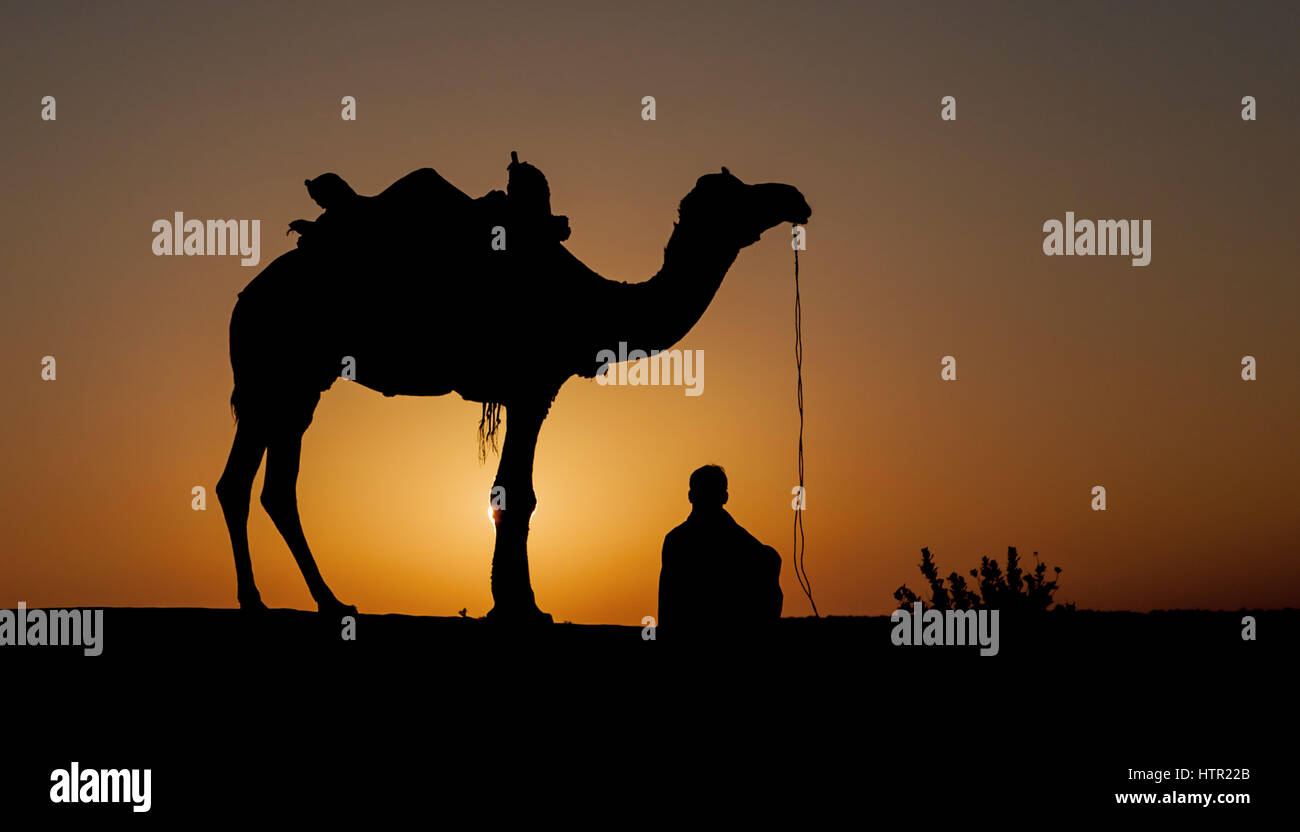 Kamel und Fahrer, Thar-Wüste, Jaisalmer. Stockfoto