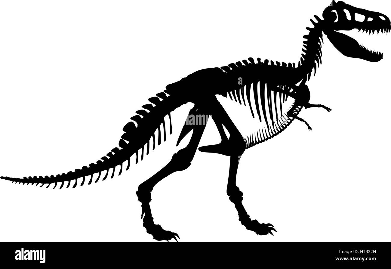 Vektor-Silhouette-Illustration von einem Tyrannosaurus Rex Skelett Stock Vektor