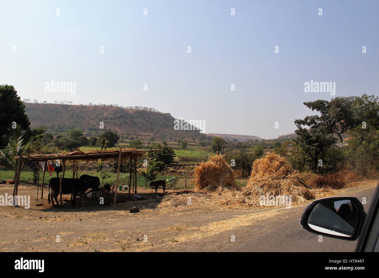 Ländliches Maharashtra (Indien) Stockfoto