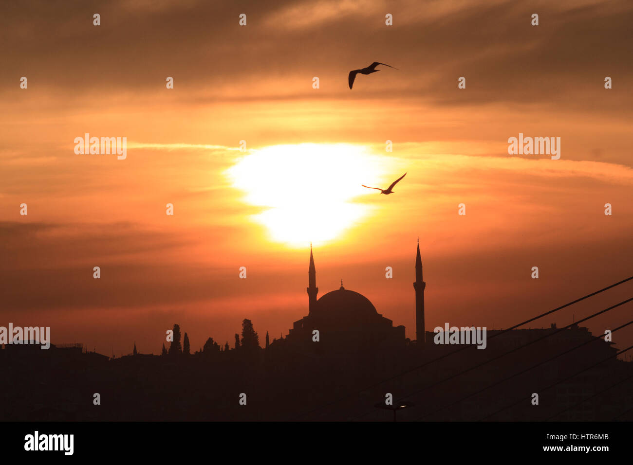 Gül Moschee geschossen bei Sonnenuntergang vom Galata-Brücke, Istanbul, Türkei Stockfoto