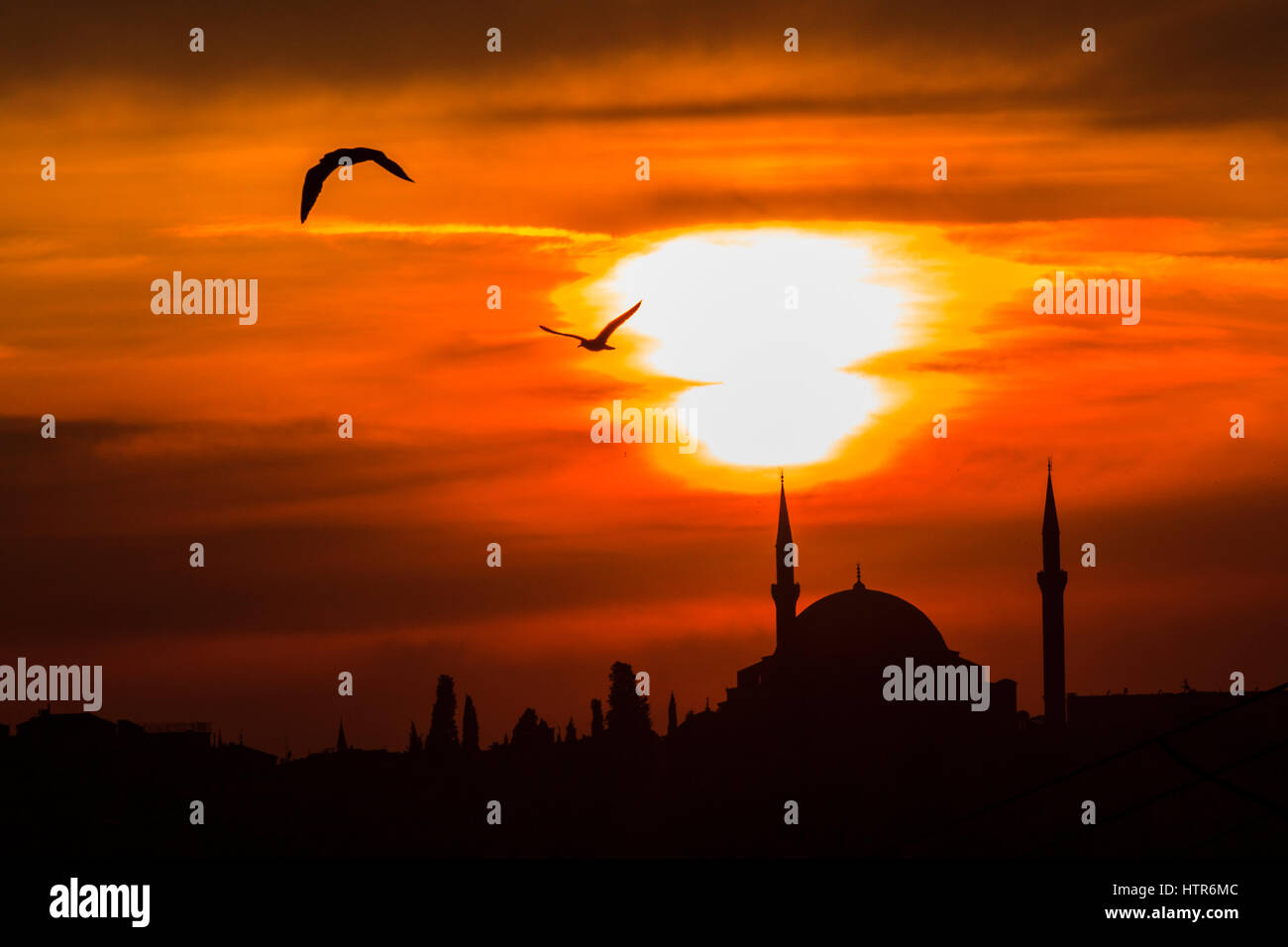 Gül Moschee geschossen bei Sonnenuntergang vom Galata-Brücke, Istanbul, Türkei Stockfoto