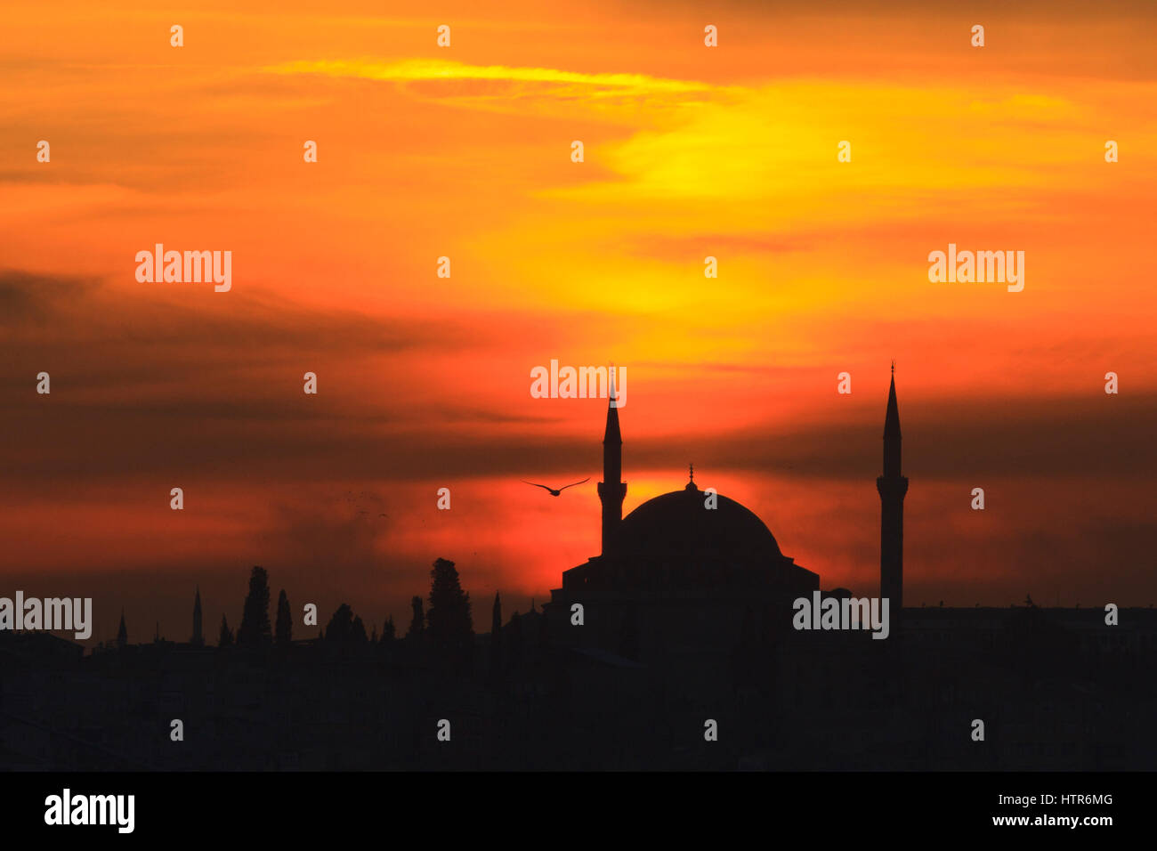 Gül Moschee geschossen bei Sonnenuntergang vom Galata-Brücke, Istanbul, Türkei Stockfoto