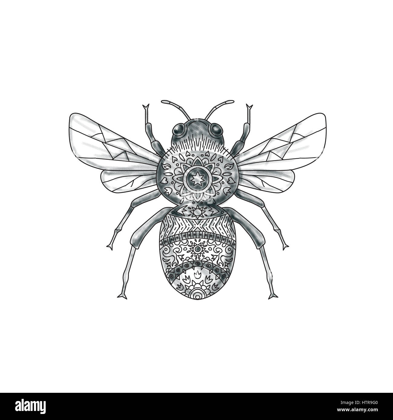 Tattoo-Stil Abbildung der eine Hummel oder Bumble Bee, ein Mitglied der  Gattung Bombus, Teil der Apidae, einer der Biene Familien am isolierten  weißen ba Stockfotografie - Alamy