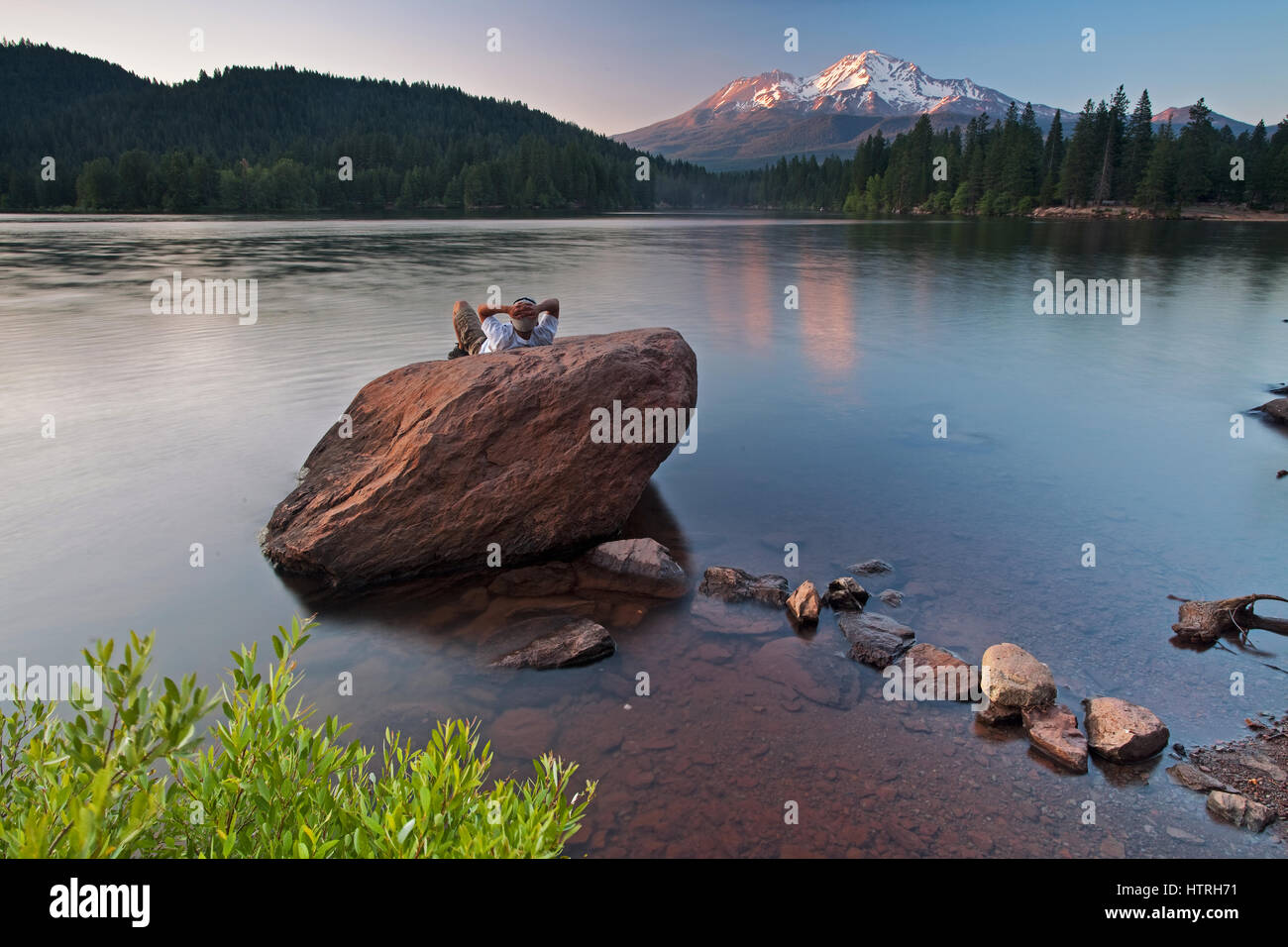 Schöne Mount Shasta Wildnis Stockfoto