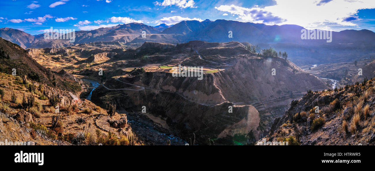 Die erstaunliche Colca Canyon in Peru Stockfoto