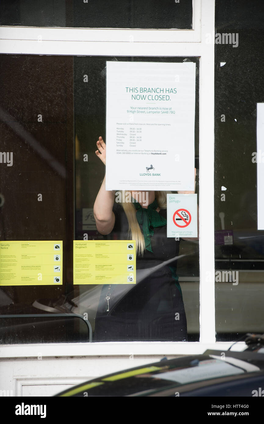 Lloyds Bank schließt seine Niederlassung in einem kleinen walisischen Stadt: 9. März 2017 - ein Frau-Mitarbeiter stellt Informationen im Fenster der Zweig der Lloyds Bank, am Nachmittag geschlossen für das gute, in der kleinen ländlichen Tregaron Dorf Ceredigion Wales UK Stockfoto