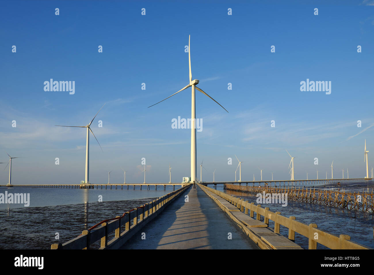 Gruppe Windturbinen Bac Lieu Windkraftanlage im Mekong-Delta, Vietnam. Windmühle am Morgen am Baclieu Meer, saubere Energie für Viet Nam-Industrie Stockfoto