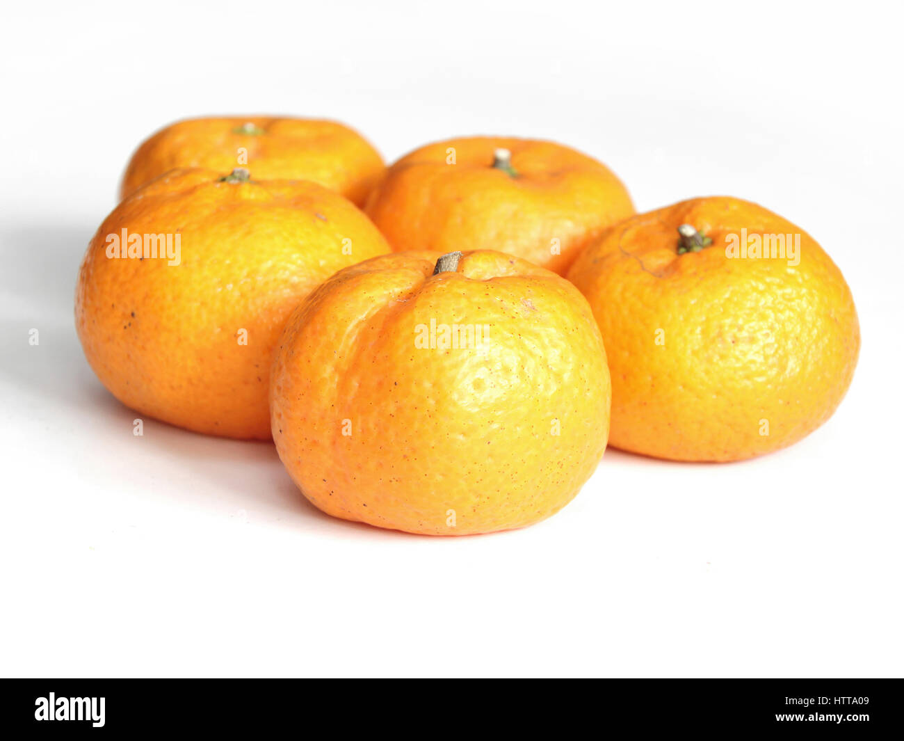 Orange, Mandarine, Citrus sinensis Stockfoto