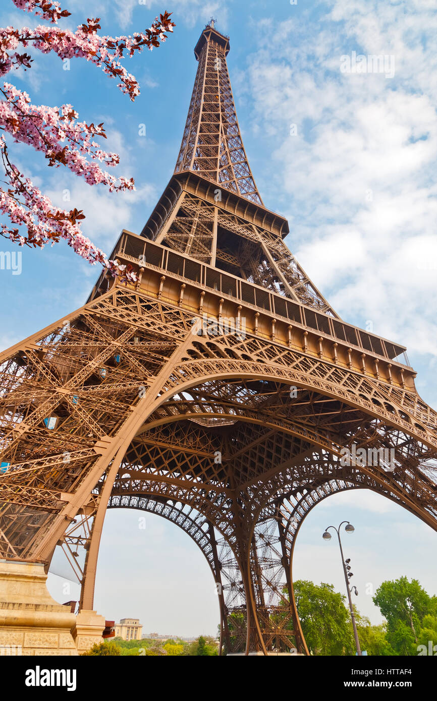 Eiffelturm in Paris im Frühjahr, Frankreich Stockfoto