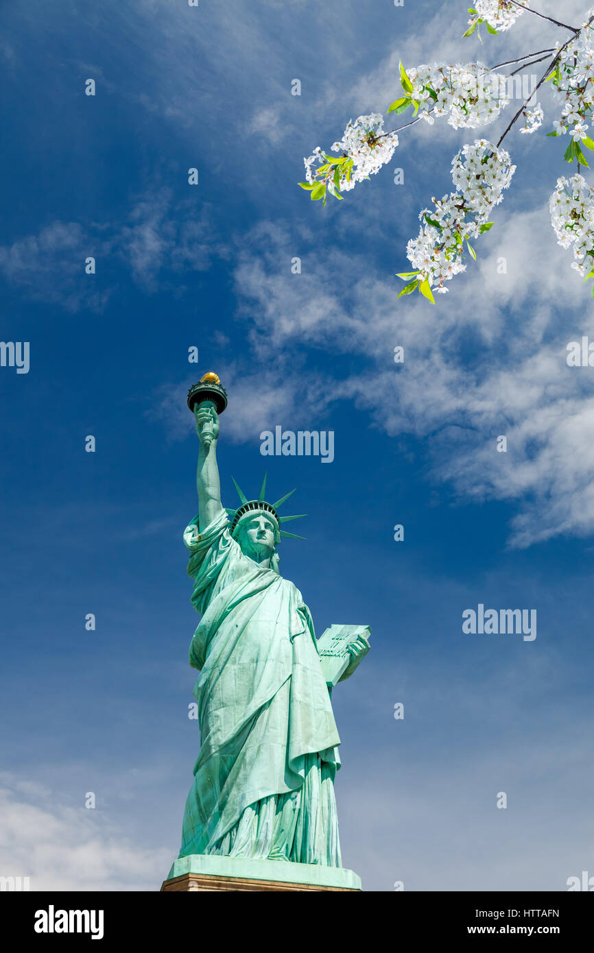 Freiheitsstatue mit blühenden Kirsche auf Vordergrund, New York Stockfoto