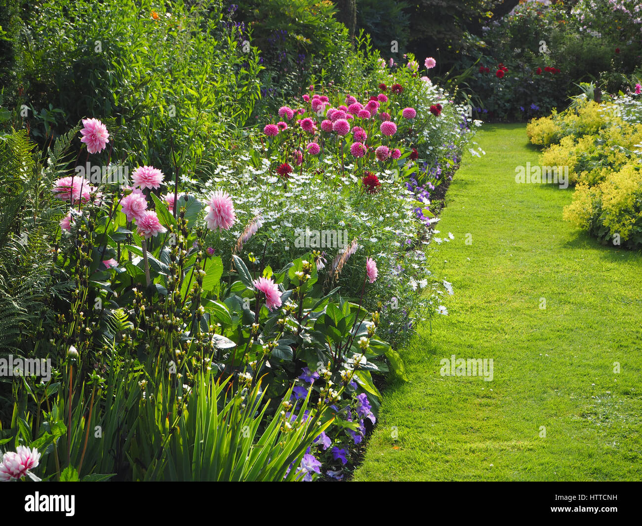 Chenies Manor versunkene Garten im Juli. Lebendige rosa Dahlien, Zierteich, Laub, Rasen und verschiedenen Schattierungen von Grün in der späten Nachmittagssonne. Stockfoto