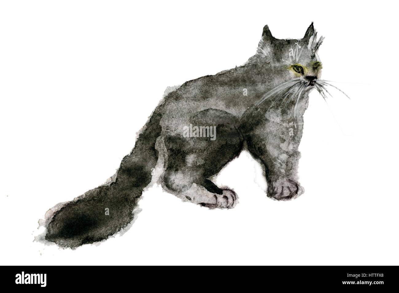 Aquarell von schwarzen flauschige kleine Katze Stockfoto